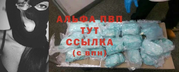 скорость Вяземский