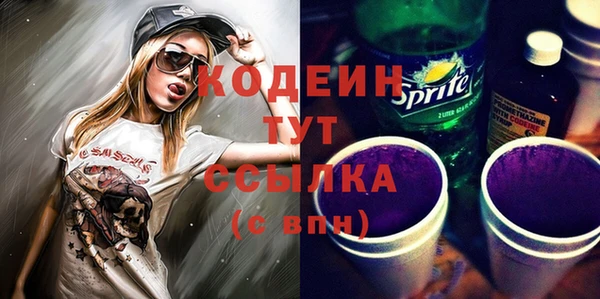 скорость Вяземский